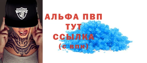 прущие крисы Абаза