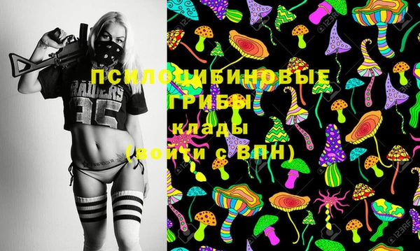 прущие крисы Абаза