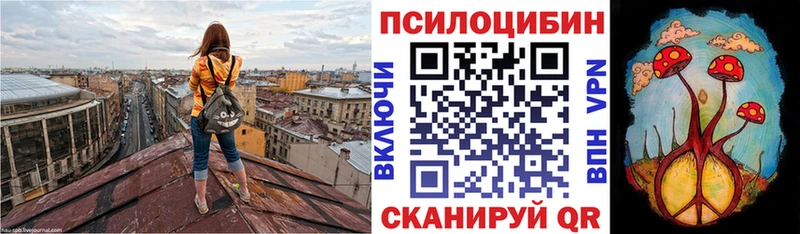 магазин Плавск МЕГА как зайти Псилоцибиновые грибы прущие грибы